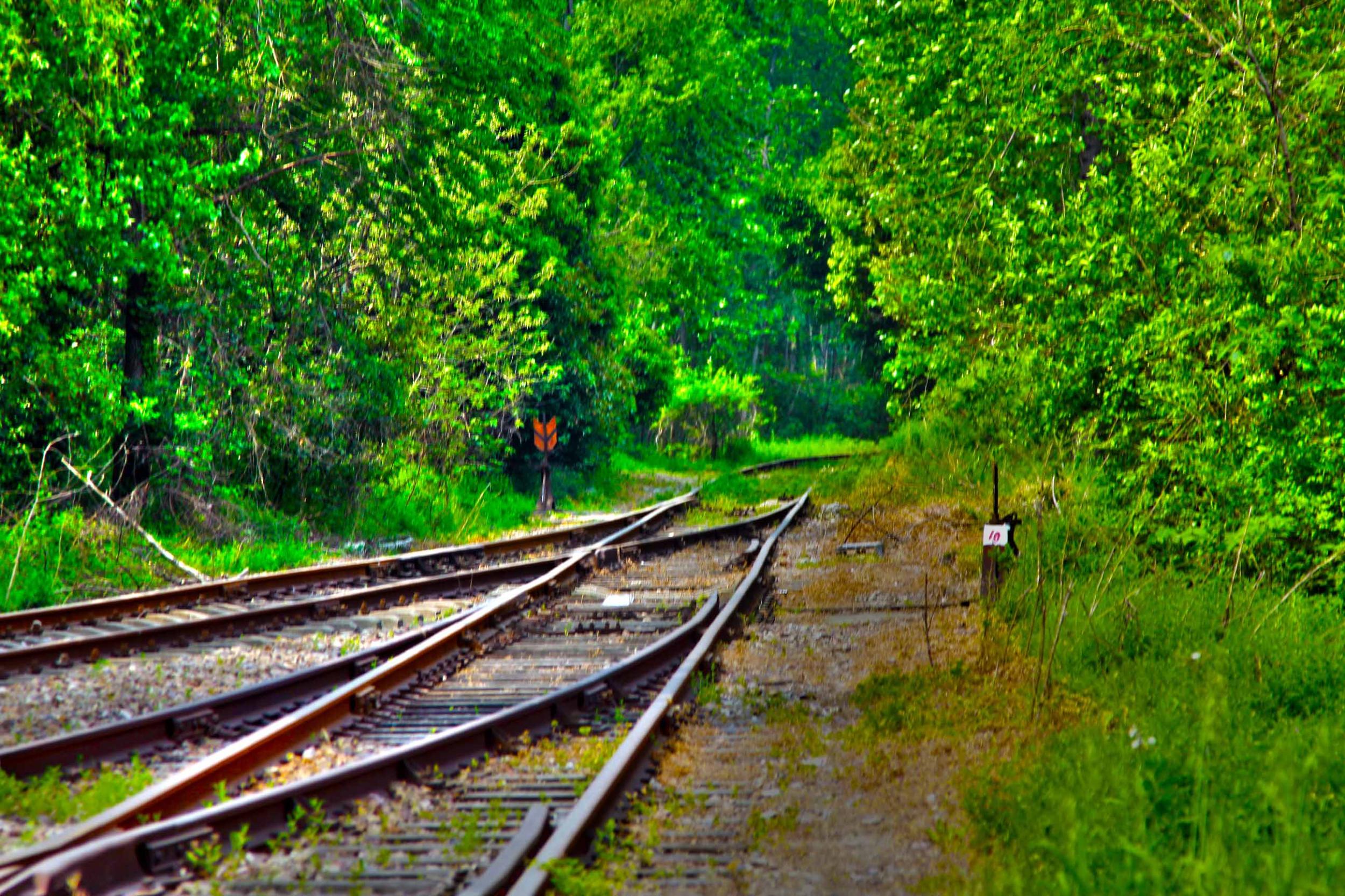 我省今年年內(nèi)有4條鐵路線投入運(yùn)營(yíng)更多出行選擇！