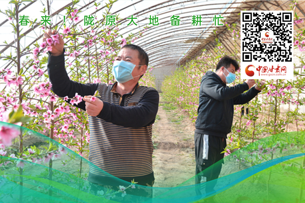 海報丨春來！隴原大地春耕忙
