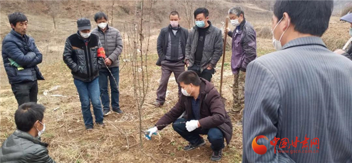 【甘肅全民戰(zhàn)“疫”】隴南徽縣：花椒田里培訓(xùn)忙，戰(zhàn)疫春耕兩不誤