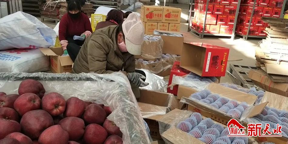 天水“花牛”最近有點“?！?>
        </a><em>天水“花牛”最近有點“?！?/em></li>
    <li><a  target=