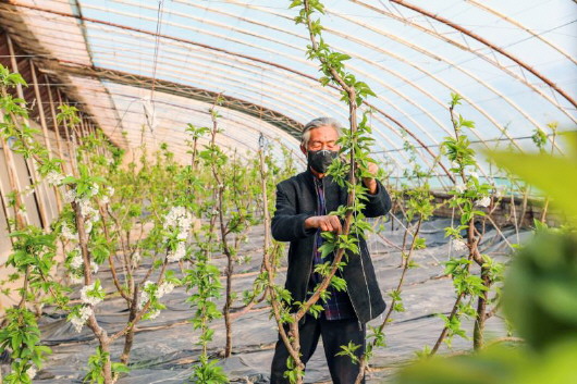 銅城復(fù)蘇：春光明媚，邀你共賞芳華（組圖）