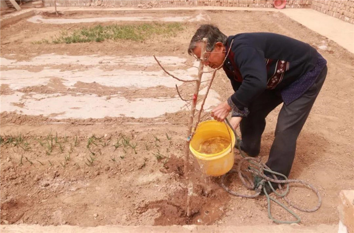 1586749087288580.jpg 02.jpg