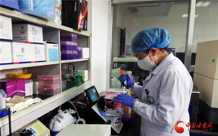 詮釋初心使命 解決重大醫(yī)療問題——甘肅省人民醫(yī)院臨床研究與轉(zhuǎn)化醫(yī)學研究所抗疫紀實（圖/視頻）