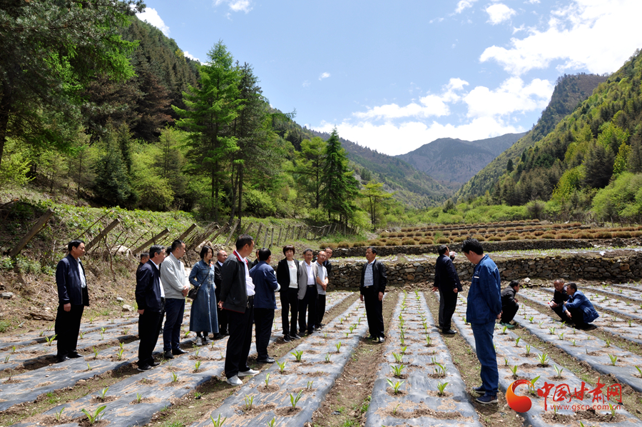 白龍江博峪河保護局開展產業(yè)發(fā)展、義務勞動成果現(xiàn)場觀摩交流活動