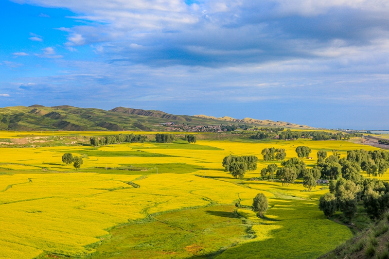 創(chuàng)意海報丨甘肅的美，你來了才知道