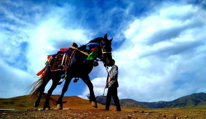 好消息！天祝被命名為“中國高原走馬之鄉(xiāng)”