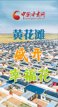 【跟著總書記看甘肅】長圖|武威黃花灘盛開幸?；?