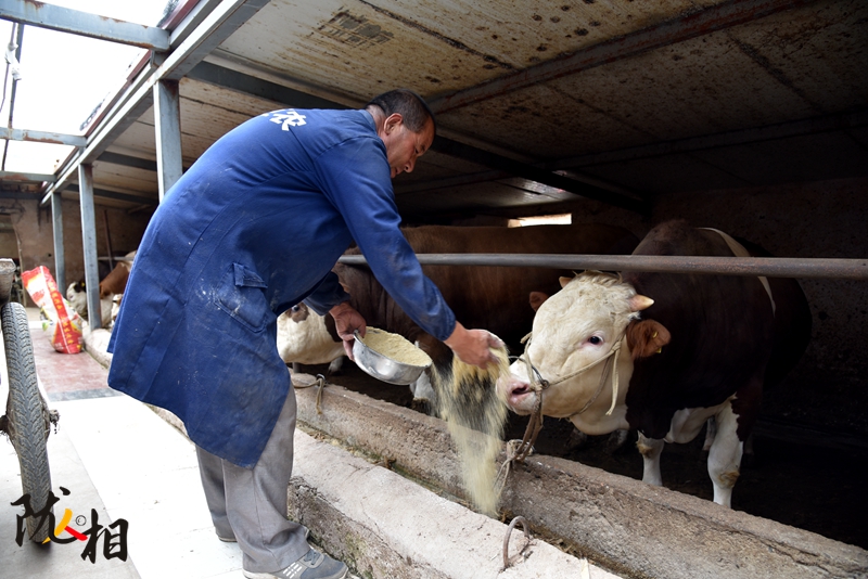 【隴人相】脫貧路上的實(shí)干家——“?！比笋R占清