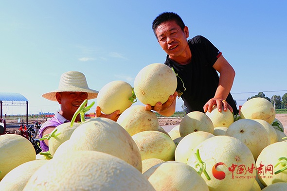 甘肅民勤：發(fā)展綠色主導產業(yè) 打造農民致富特色品牌