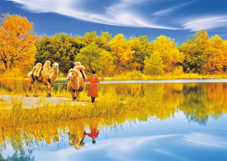 國慶長假，去金塔遇見最美胡楊