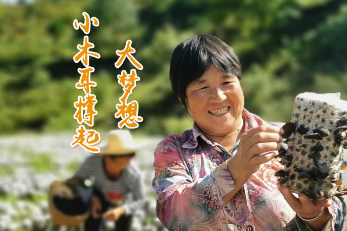 海報丨他們，乘“豐”破浪！