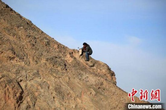 圖為敦煌“80后”畫家張杰龍?jiān)诙鼗腿Ｉ嚼锊杉V石顏料。(資料圖)受訪者供圖