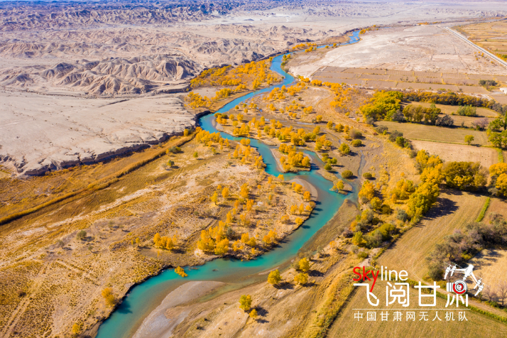 【飛閱甘肅】好美！疏勒河畔大地斑斕