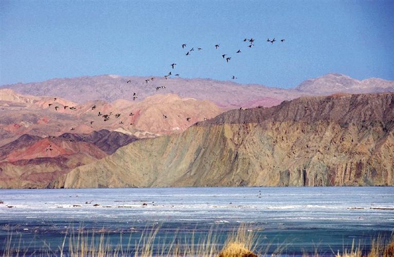 “天境昌馬”“紅田園”被評為國家3A級(jí)旅游景區(qū)