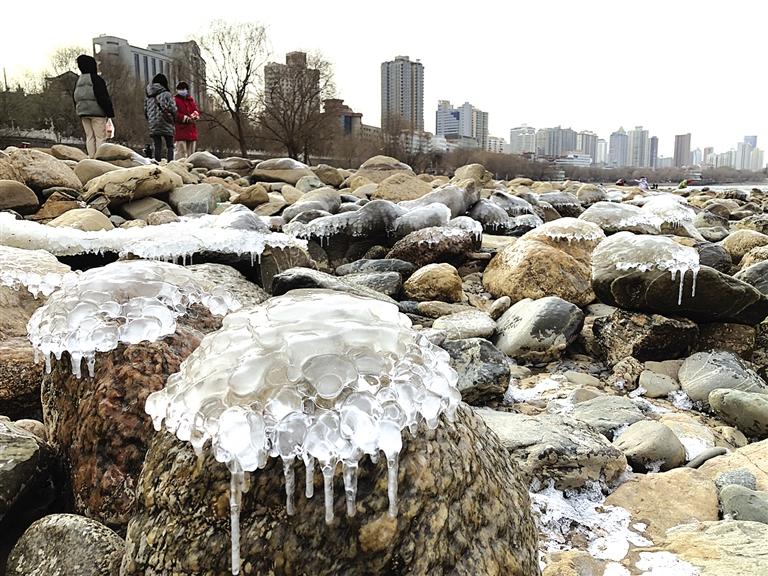 蘭州：水母上河灘？