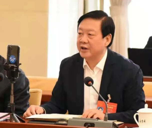 【聚焦2021全國兩會】全國人大代表、市委書記楊維俊接受中國日報記者采訪