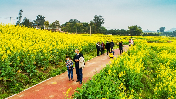 游客在花海里踏青。廖濤 攝