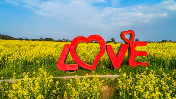 “l(fā)ove”創(chuàng)意拍照墻。廖濤 攝