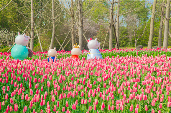 長(zhǎng)壽湖郁金香次第開(kāi)放。羅云希 攝