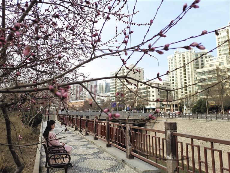 蘭州“第一朵花”開(kāi)了！