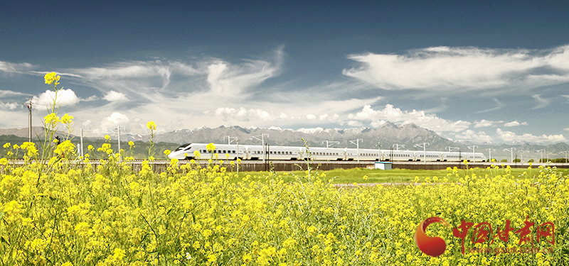 坐上火車“邂逅”春天，你可以這樣享“鐵路游”