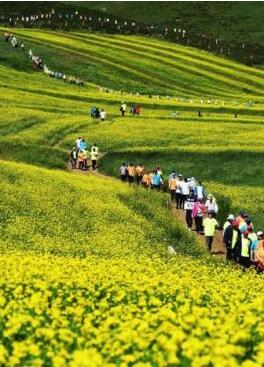 甘肅明確農(nóng)民進(jìn)城落戶:不以退出承包地、林地等為條件