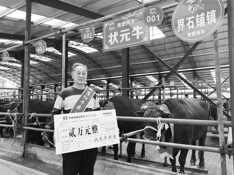 120頭“平?jīng)黾t?！膘o寧爭(zhēng)霸