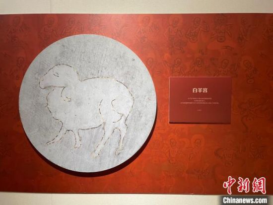 圖為展覽現(xiàn)場(chǎng)?！〗瓧顭?攝