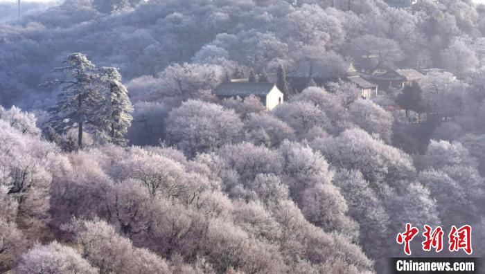 圖為霧凇美景?！⌒煺袢A 攝