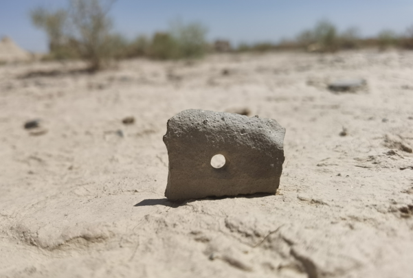 插圖1：河西走廊上遺存的古陶片。攝影：陳曉斌。拍攝日期：2020年6月。