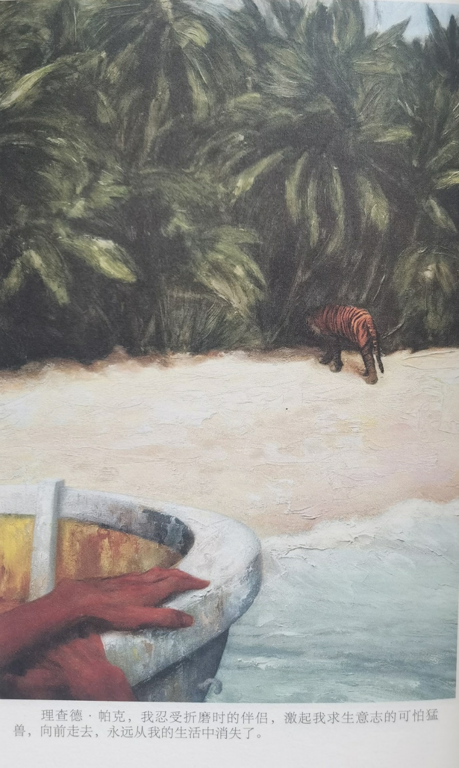 插圖3：揚(yáng)？馬特爾的小說(shuō)《少年pi的奇幻漂流》插圖