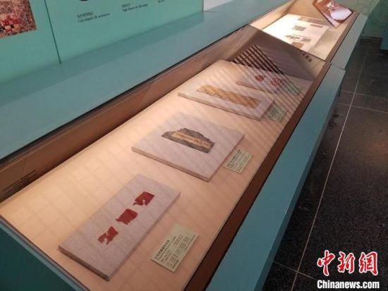 圖為展覽現(xiàn)場(chǎng)?！《鼗脱芯吭汗﹫D