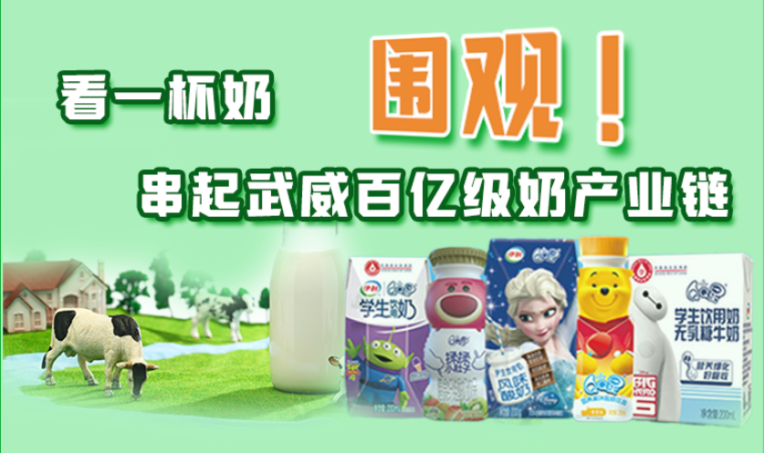 圖解|圍觀!看一杯奶串起武威百億級(jí)奶產(chǎn)業(yè)鏈