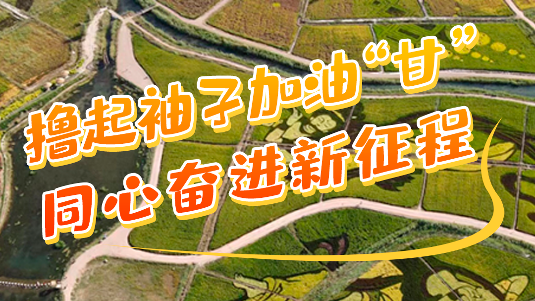 微海報|學(xué)報告 悟精神 擼起袖子加油“甘” 同心奮進新征程(五)