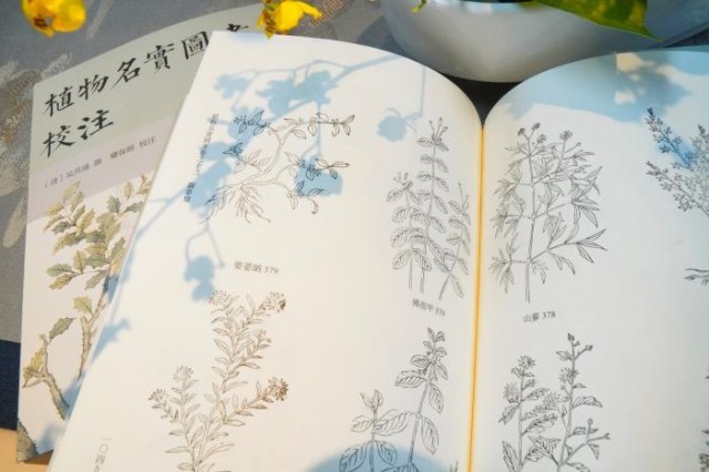 《植物名實圖考校注》內頁。圖片來源：中華書局供圖