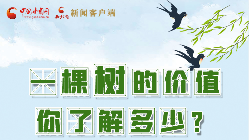 圖解|一棵樹的價值你了解多少?來看！