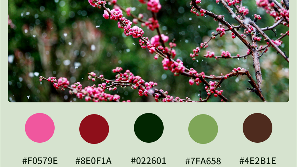 微海報(bào)|收藏！色卡里的春日甘肅