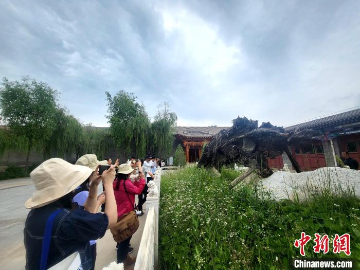 圖為媒體記者在青海永錄民俗參觀采訪?！⊙Φ?攝