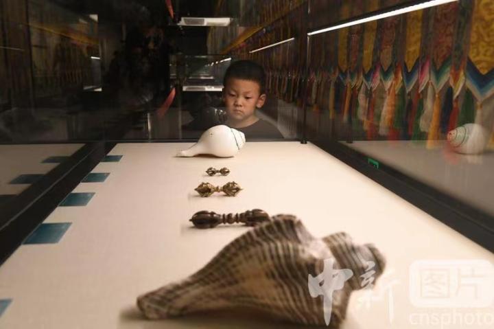 圖為展出的“白海螺法器”吸引小觀眾。 中新社記者 戴文昌 攝