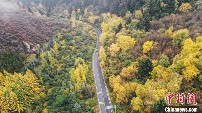 深秋，航拍位于蘭州市榆中縣的興隆山，景色如畫。金峯 攝</p>
<p>