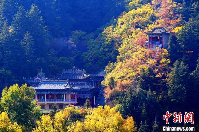 深秋，位于蘭州市榆中縣的興隆山景色如畫。宮衛(wèi)紅 攝