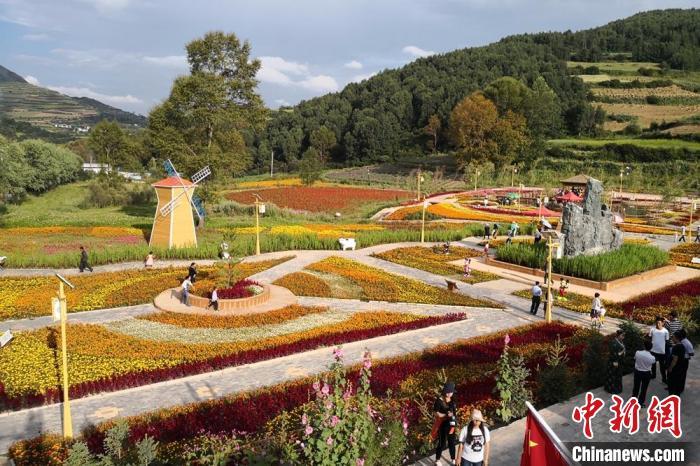 圖為航拍甘肅甘南臨潭縣八角鎮(zhèn)，花海吸引游人。(資料圖)高展 攝