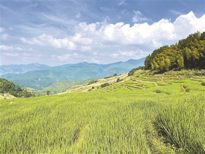 1710461231770052.jpg 1.jpg