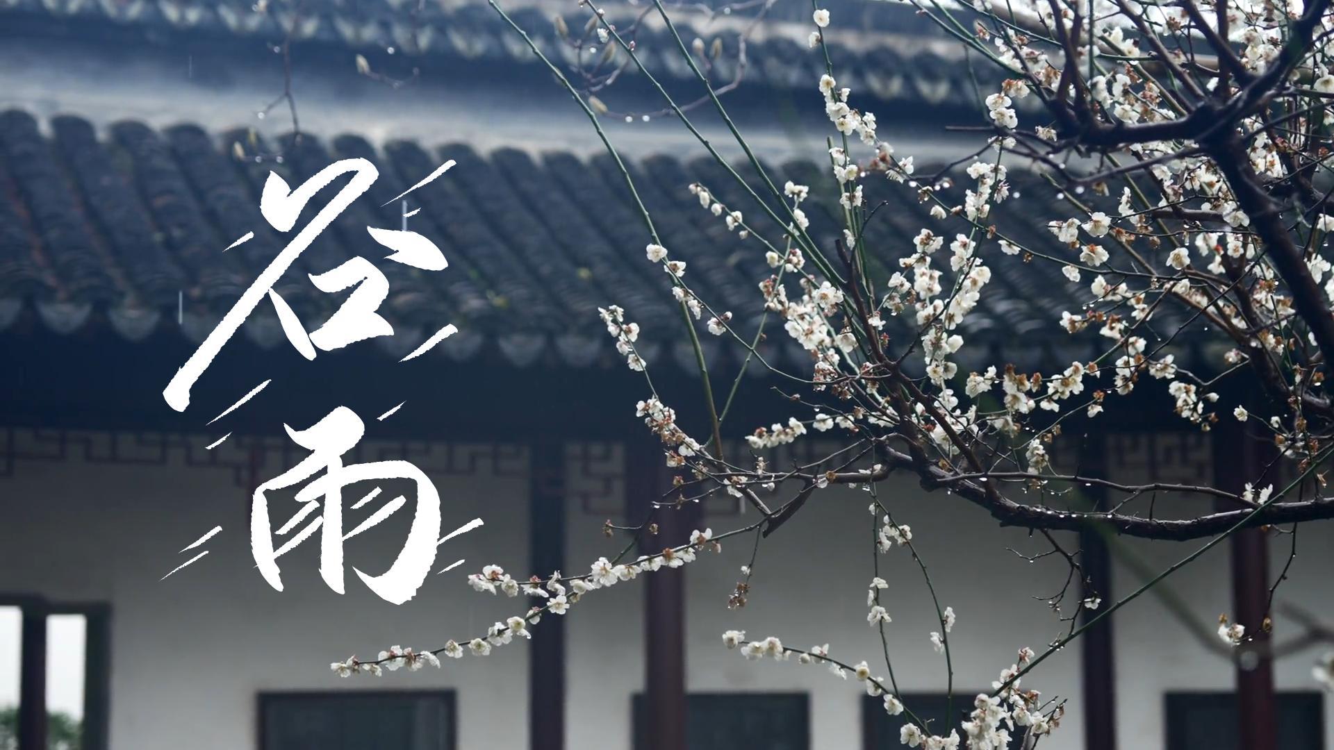 【節(jié)氣里的大美甘肅】谷雨，春天的最后一次回眸