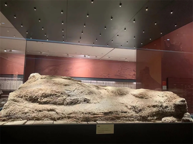 1715558644767593.jpg 20240513_080807_012.jpg