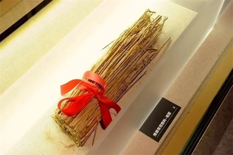 1715558654676429.jpg 20240513_080807_013.jpg