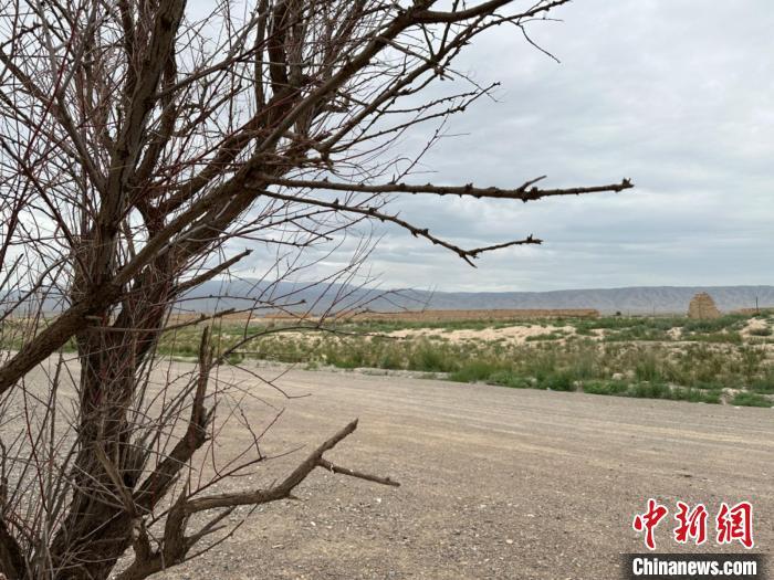 圖為位于長城墻體上的“馬面”或“敵臺”?！〈魑牟?攝