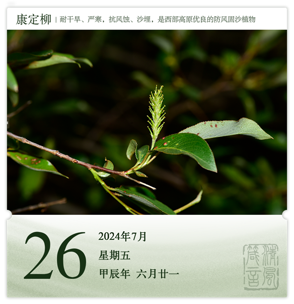 1721722231792019.png 箴歷日歷7-26.png