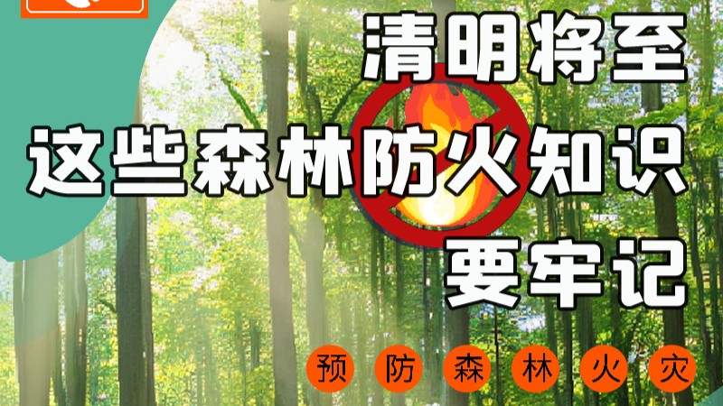 【甘快看】圖解|緊繃“安全弦”！清明，這些森林防火知識要牢記