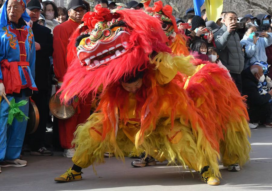蘭州北獅表演現(xiàn)場。受訪者供圖